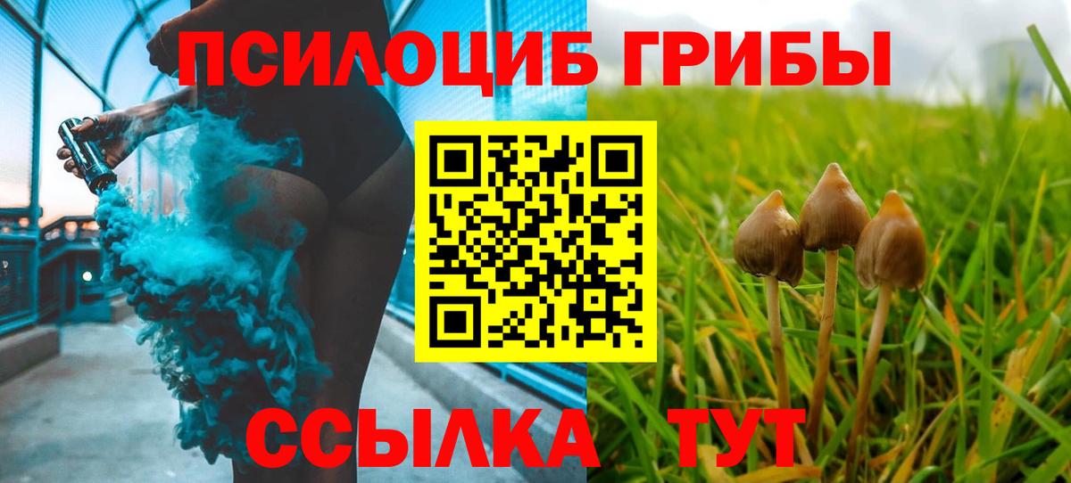 Галлюциногенные грибы мицелий  Псилоцибиновые грибы мицелий  Вход с VPN  Барнаул 